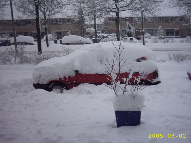 2005_03_02_auto_ingesneeuwd.JPG