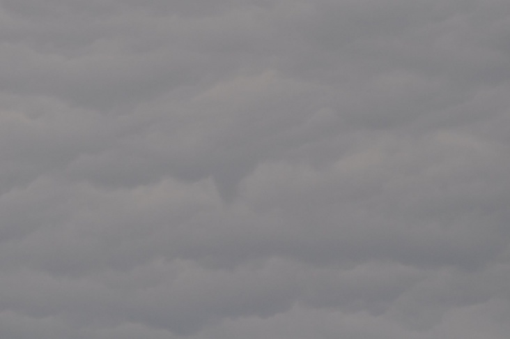 wolk02.jpg