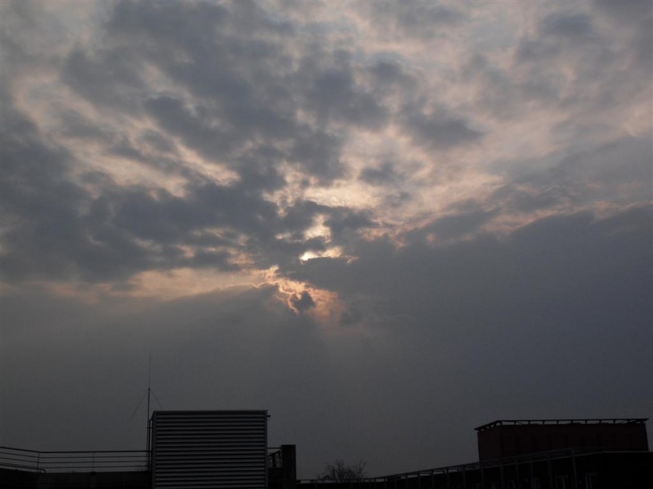 SDC11105_1__Medium_.JPG