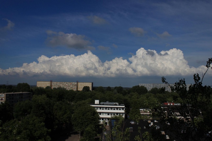IMG_1496__Large_.JPG