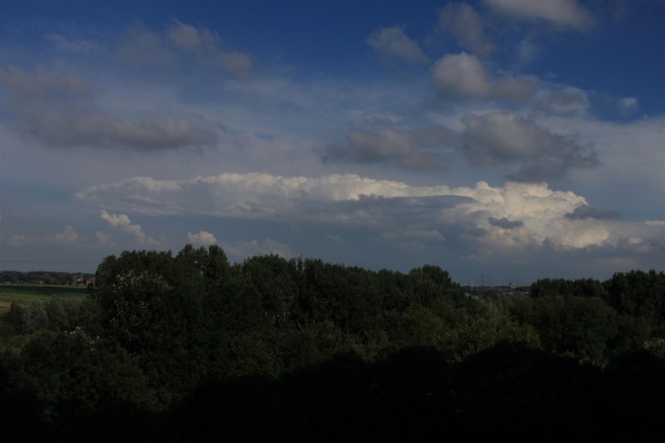 IMG_1526__Large_.JPG