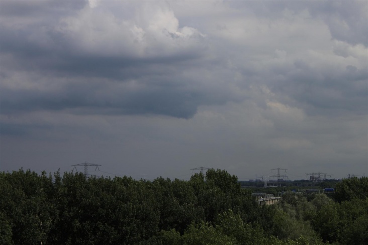 IMG_1485__Large_.JPG