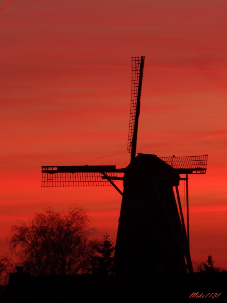 molen.jpg