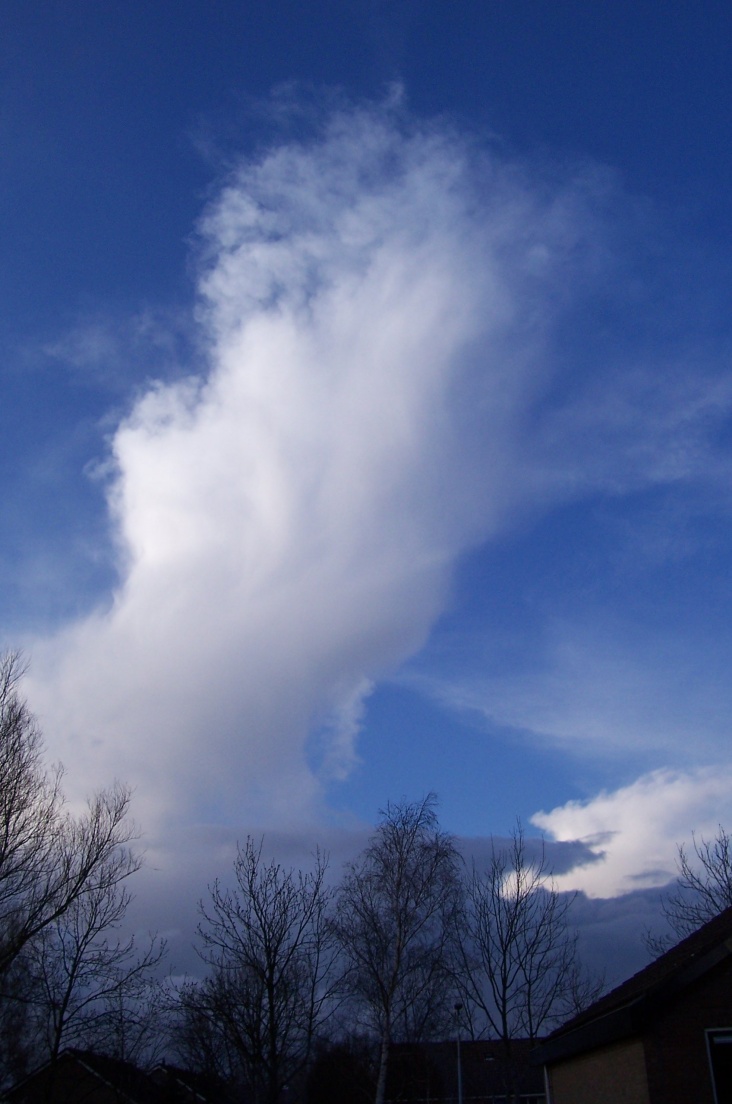 100_3510.jpg