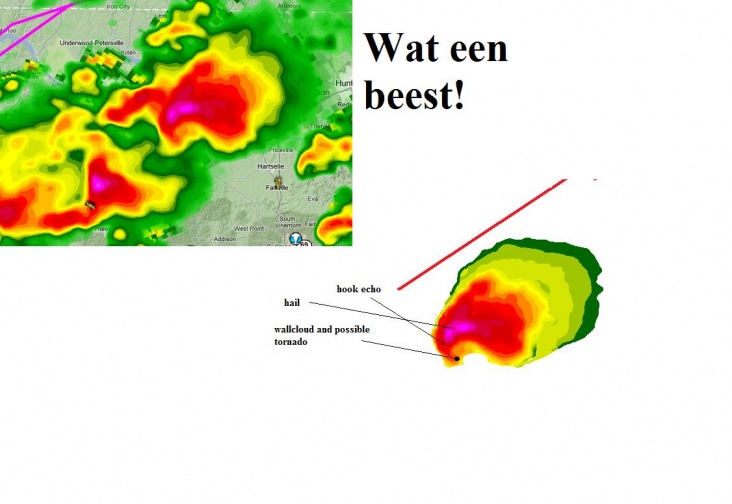 beest.jpg