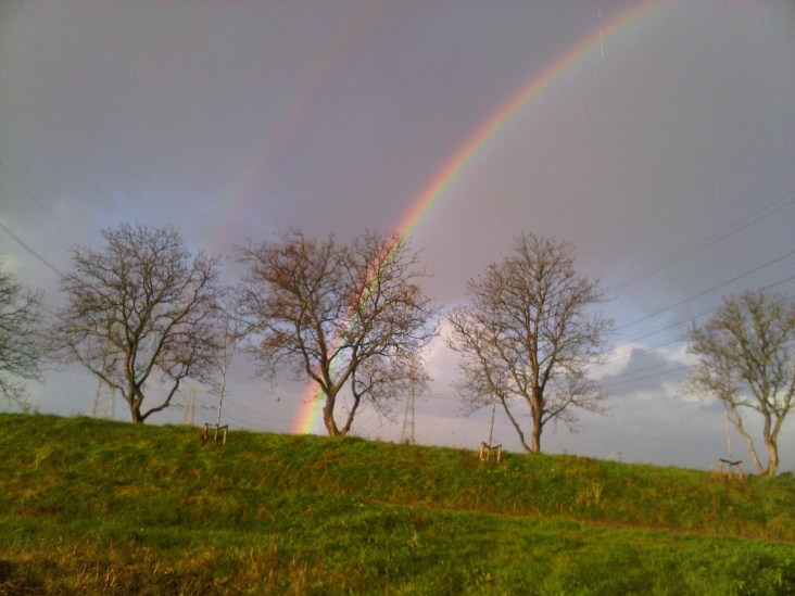 fotos_regenboog_009.jpg