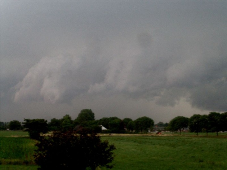 1282501719NOrganisatie_wallcloud.jpg