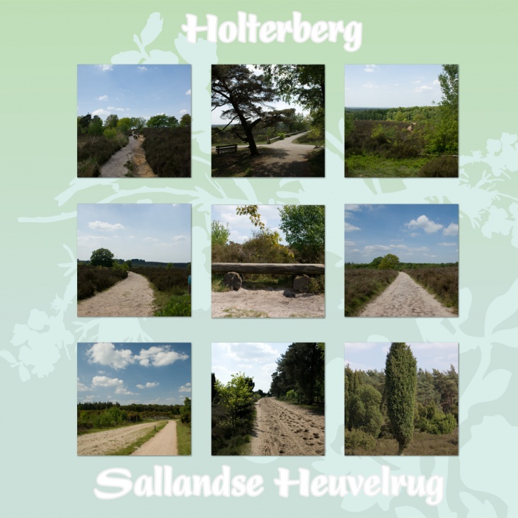 holterberg.jpg