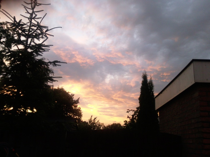 Foto0128.jpg
