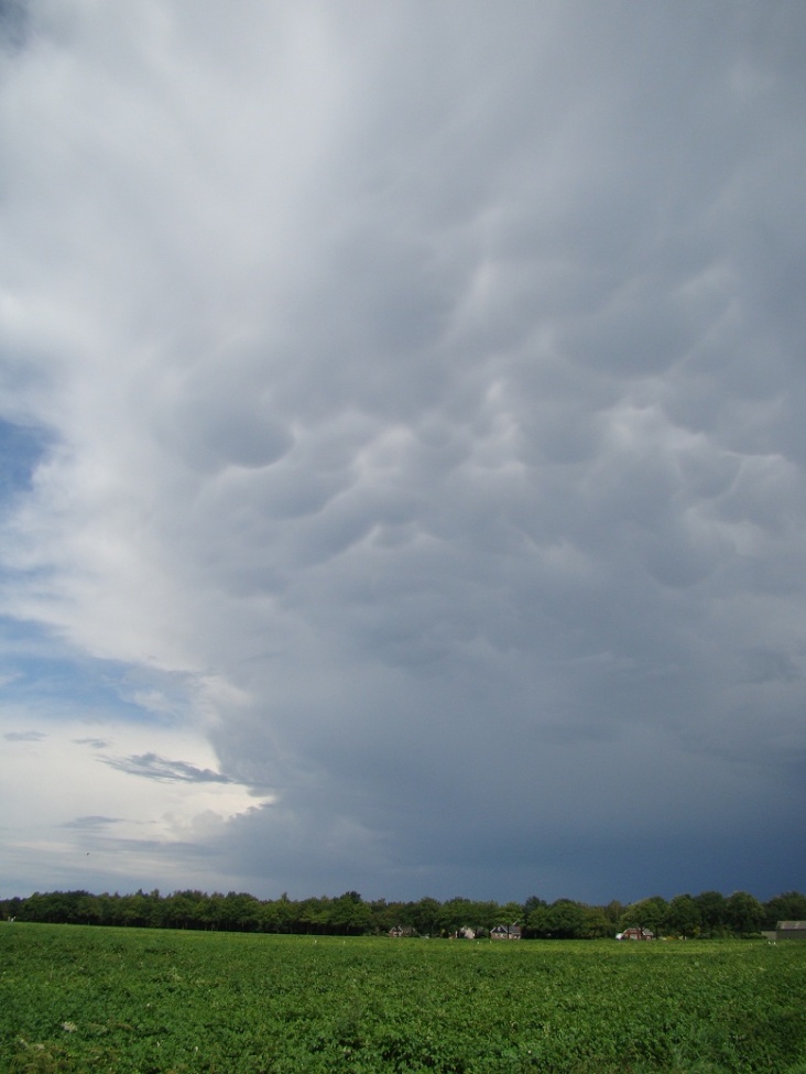 DSC09242.JPG
