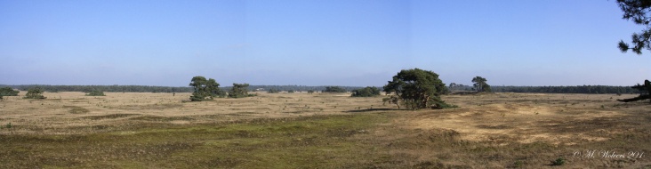 NP_Hoge_Veluwe_12_okt._2010.jpg