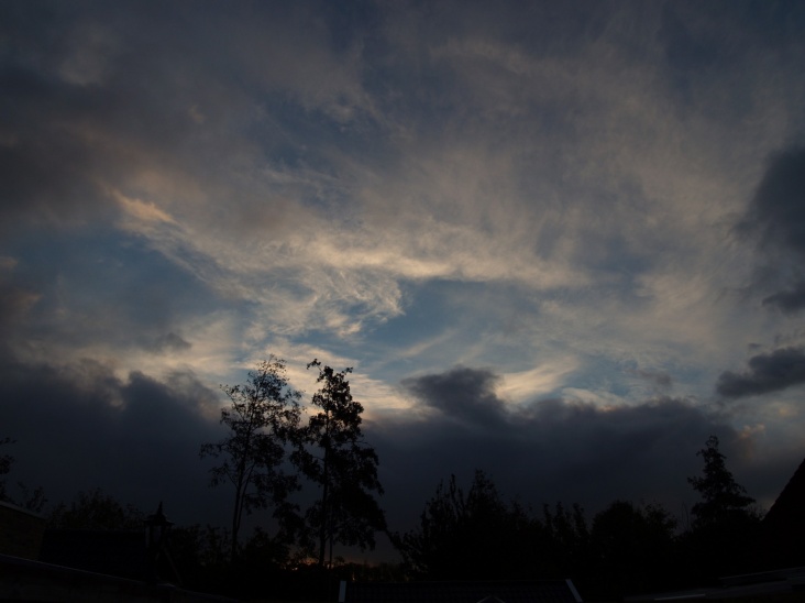 PA206270.JPG