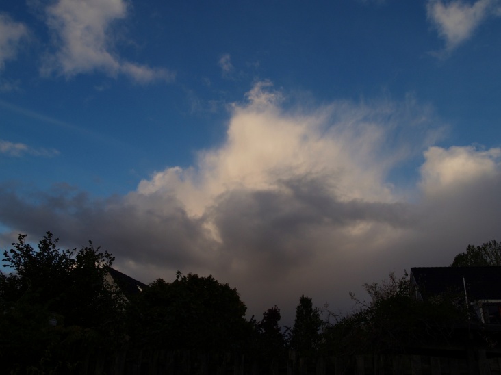 PA206272.JPG
