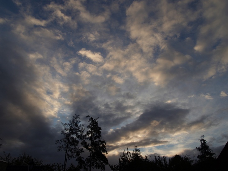 PA206273.JPG