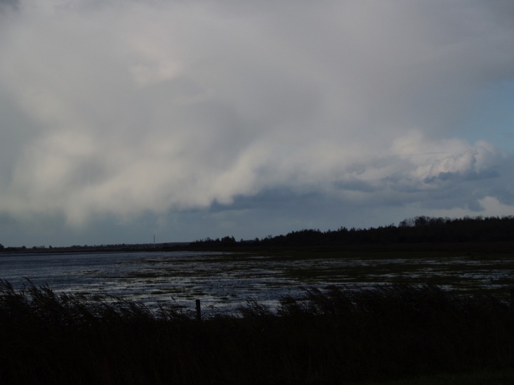 PA206295.JPG