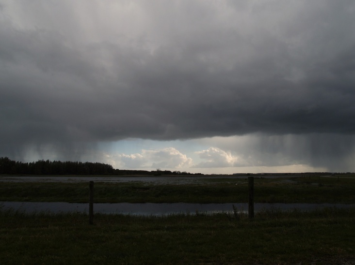 PA206325.JPG