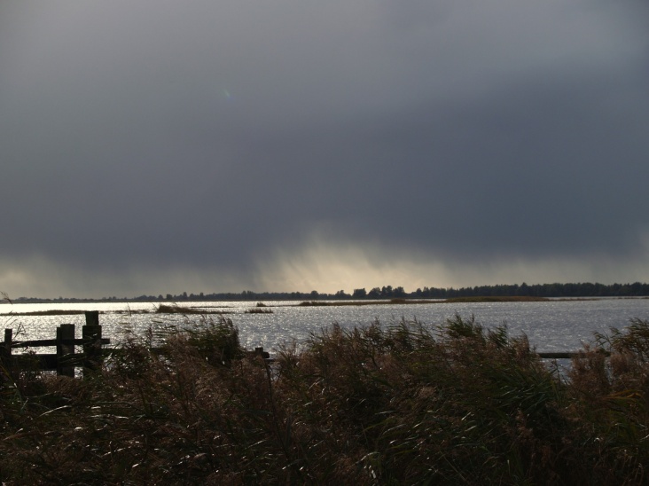 PA206340.JPG