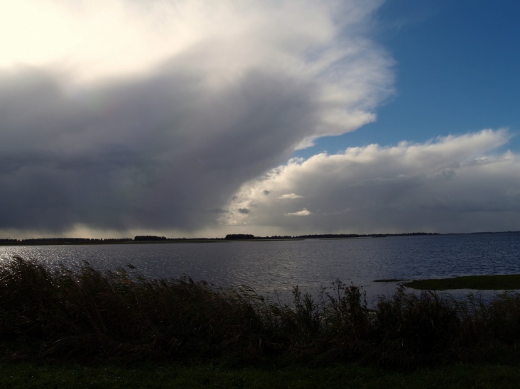 PA206347.JPG