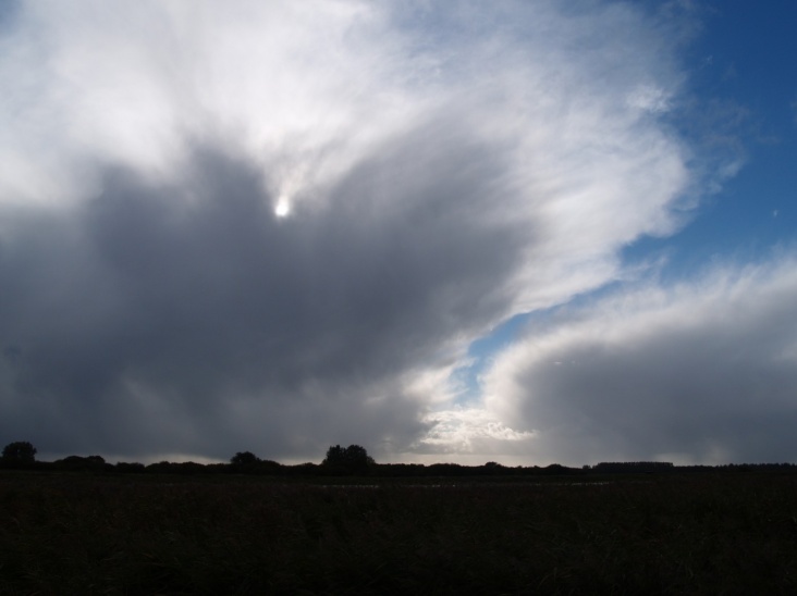 PA206357.JPG
