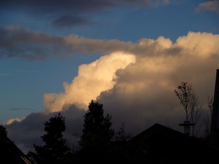PA206268.JPG