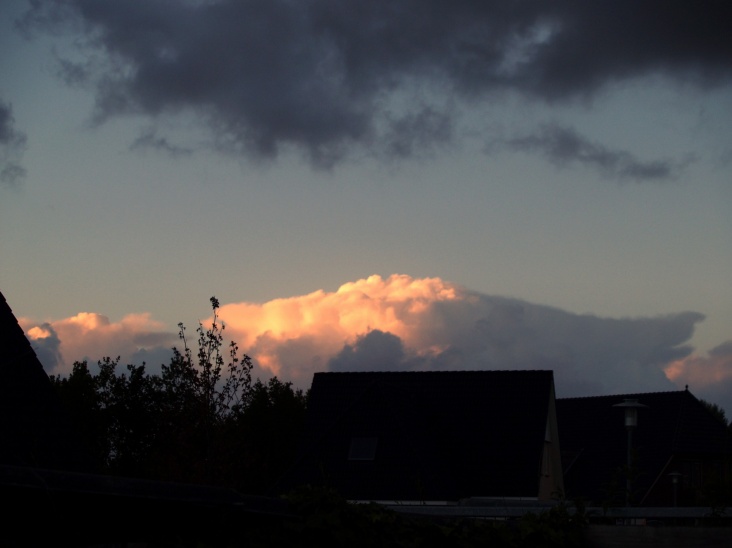 PA206358.JPG