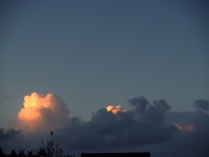 PA206361.JPG