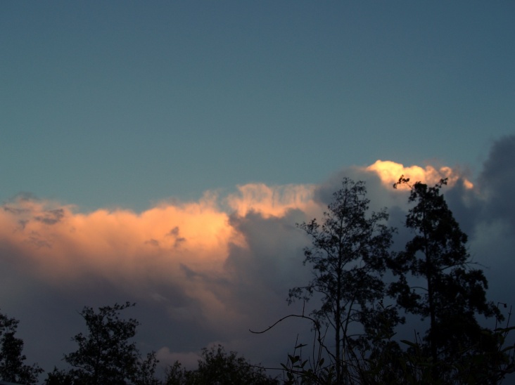 PA206362.JPG