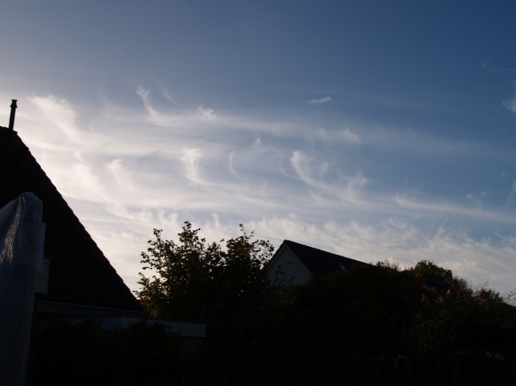 v02.JPG