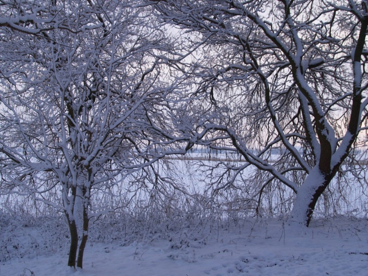 sneeuw_10.JPG