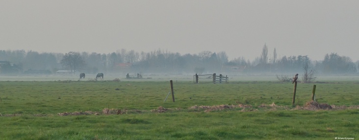 foto19_november_20111.jpg