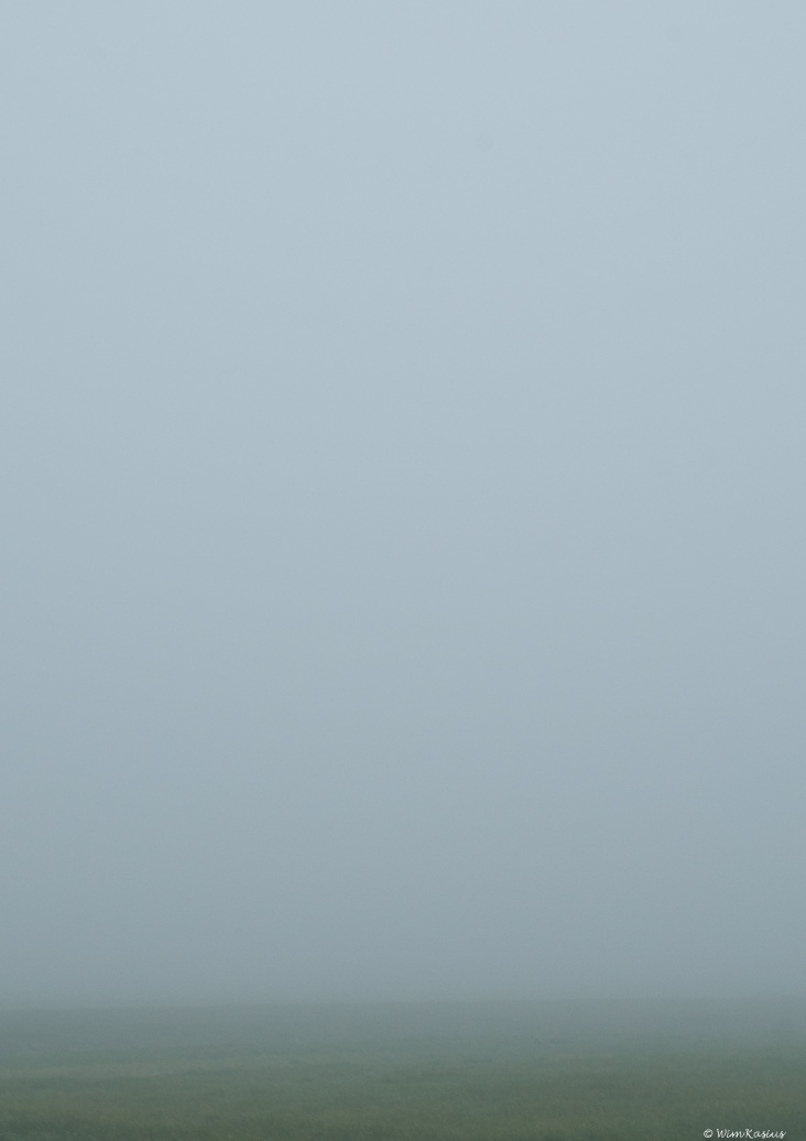 201111_2686_2.jpg
