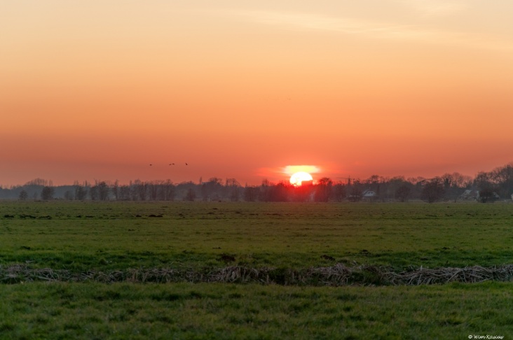 20120319_277.jpg