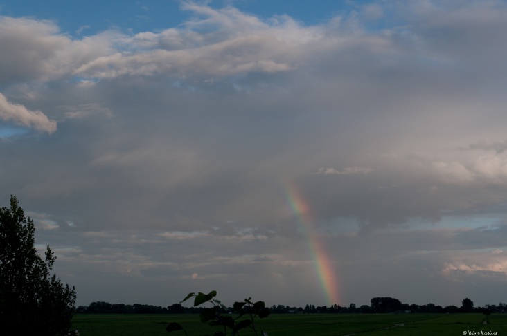 regenboog07_augustus_20114.jpg