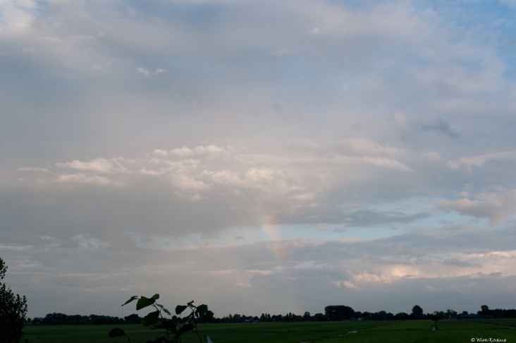 regenboog07_augustus_20115.jpg