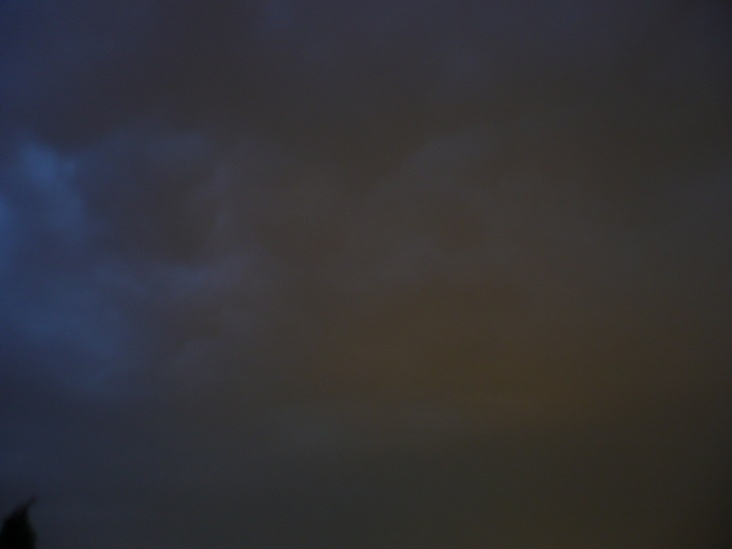 P1020135.JPG