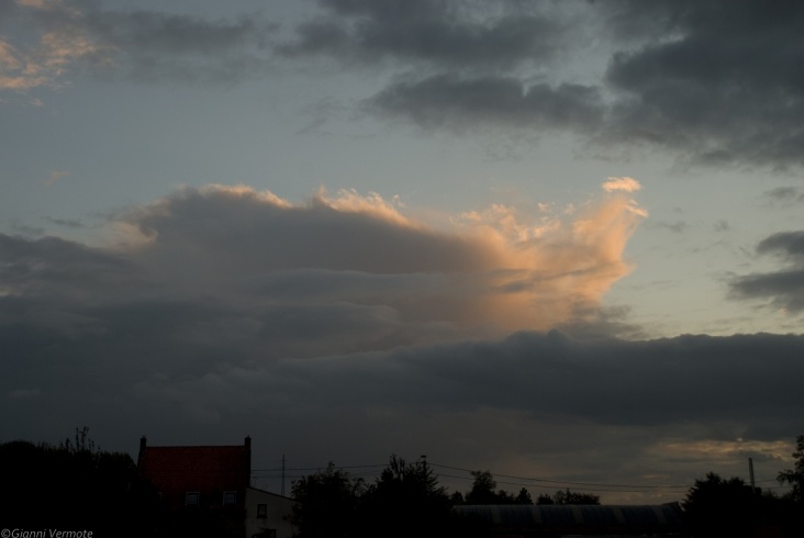 191020101923441.jpg