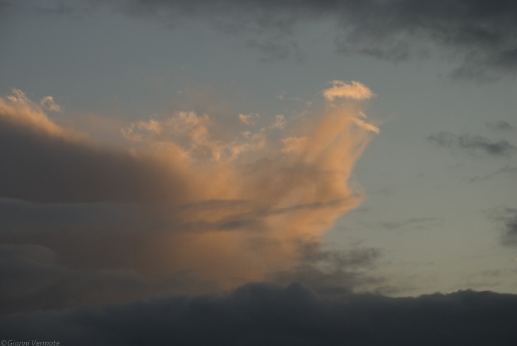 191020101923440.jpg