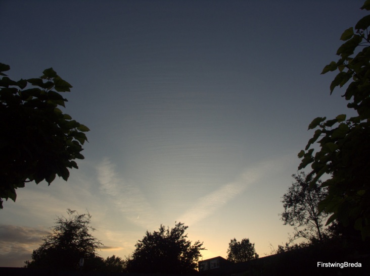 PICT1827_strepenlucht.jpg