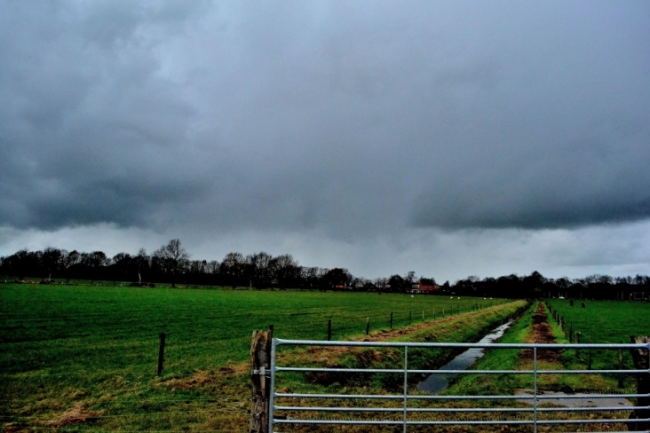 DSC_0288.JPG