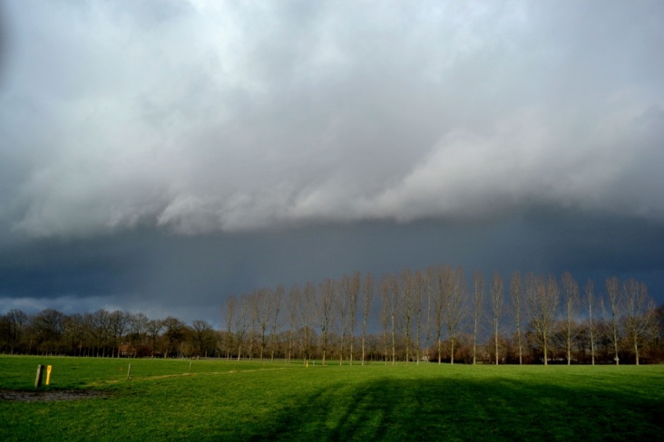 DSC_1403.JPG