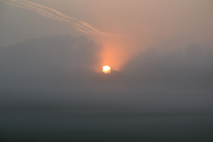mistzon068.jpg