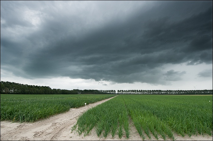 wolk_boven_NOP_1_.jpg