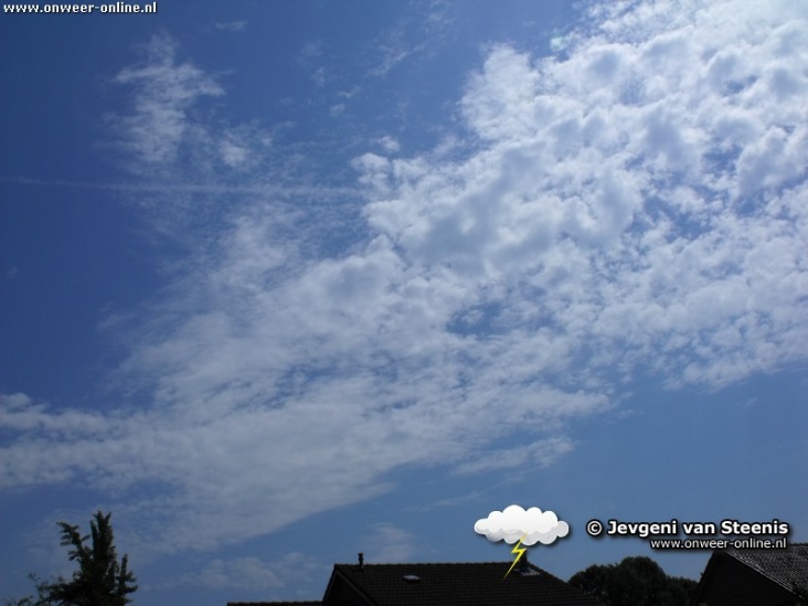 DSCF6446.jpg