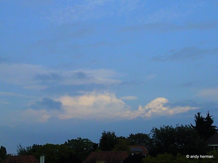 Foto1701.JPG