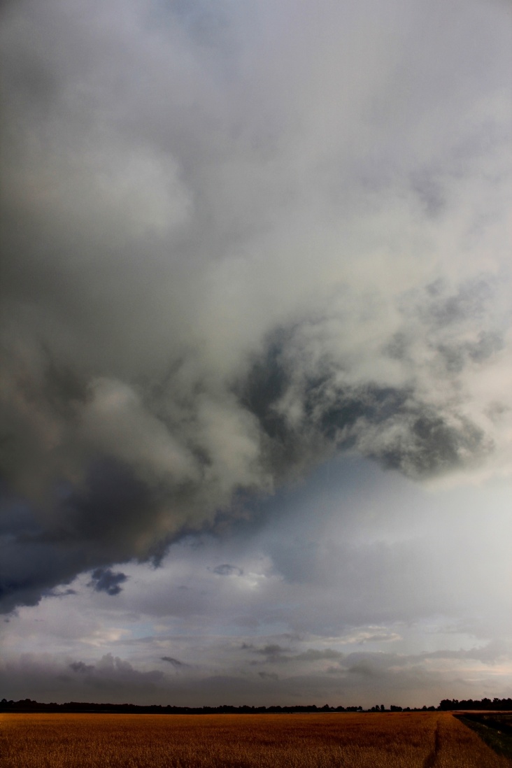 HDR_zomerse_bui_2_kleiner_formaat.jpg