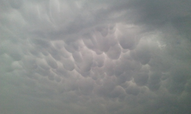 28_6_2011__16_.jpg