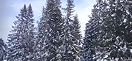 Wintersport Verslag, St. Ankton - Oostenrijk